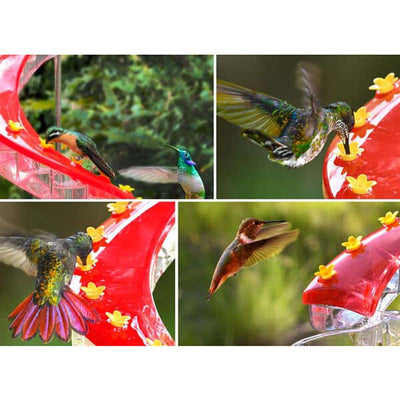 Helix Hummingbird Feeder