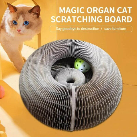 Magic Organ Cat Scratching Board - Comes with a toy bell ball