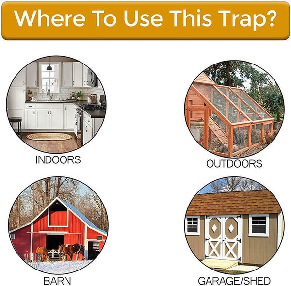 Flip N Slide Bucket Lid Mouse Trap (Buy 2 Free Shipping)